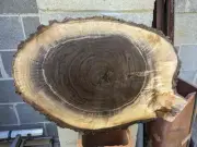 Black Walnut (Live Edge) (wood slice, table top round) epoxy pieces (thick)