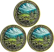 Strugglejewelry The Lord is My Shepherd Christian Challenge Coin with Clear Protective Case - Ideal for Faith and Protection (Pack of 3)