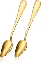Serrated Edge Grapefruit Spoons Stainless Steel Grapefruit Utensil Tool Dessert Fruit Spoons for Citrus Lemon Kiwi Salads Melon Lime Pitaya Apple Fruit Puree