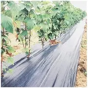 Greenhouse Plant Protect Mat Cloth, for Gardening Landscaping Plastic Mulch Orchard Fabric (Size : Width 2.5m)