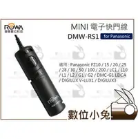 在飛比找PChome商店街優惠-數位小兔【ROWA Panasonic DMW-RS1 電子