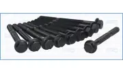 Cylinder Head Bolt Set FIAT PALIO 1.2 60 188A4.000 (2/2001-)