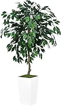 ASTIDY Artificial Ficus Tree 5FT - Faux Indoor Tree with White Tall Planter - Fake Ficus Floor Plant Potted - Artificial Silk Tree for Home Office Living Room Decor Indoor