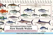 Fish Measure sticker decal - New South Wales