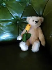 Steiff Bear "Tim Teddy" 30 cms Brand new with tags Made in Germany No 036767