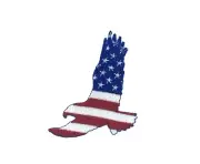 Embroidery patch sew badge iron on glue transfer eagle usa flag american
