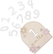 BIUDECO 1 Set Milestone Card Newborn Milestone Sign Months Milestone Decorative Monthly Milestone Sign Monthly Milestone Discs Monthly Milestone Signs for Nursery