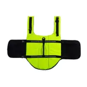 Dog Life Jacket Pet Swim Vest Floatation Aid for Boating and Water Activities Green