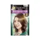 Liese 莉婕 頂級涵養髮膜染髮霜 第一劑40g+第二劑40g