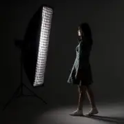 35 X 160cm Softbox Honeycomb Grid Studio Strobe Flash Light Photography Mesh Net