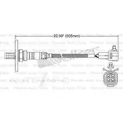 PAT Oxygen/Lambda Sensor Pre-Catalytic Converter/Manifold - EGO-426