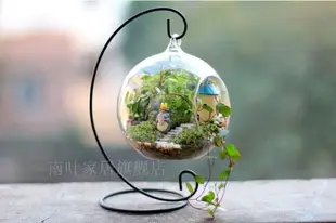 玻璃花瓶水培 創意水培花瓶 懸掛植物吊瓶 玻璃花盆 不含架子