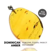 SWARM - Natural Dominican Amber Pendant with Fossil Inclusion, Sterling Silver