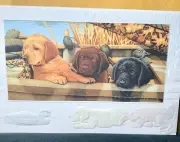 Happy Birthday Card Labrador Retriever Puppies Embossed Card!