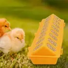 Bird Feeder Chicken Feed Trough Pheasant Feeding Bucket Poultry Ground