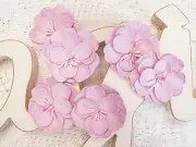 IMAGINE - BERRY PINK - 6 Flowers PAPER 50-55mm Manor House
