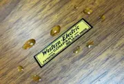 WESTERN ELECTRIC COMPANY PATENT LOGO SMALL WATER SLIDE DECAL WATER DECAL STICKER