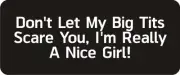 3 - Don't Let My Big Tits Scare You Hard Hat / Biker Helmet Sticker BS126