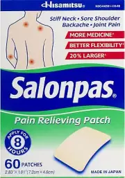 Salonpas Pain Relief Patches 60 Ea - Pack of 3