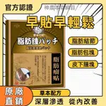 日本日本東井竹野脂肪瘤貼 脂肪瘤貼 坐骨神經貼 足跟貼 腰椎 膝蓋