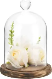Clear Glass Dome Bell Jar Display Case w/ Heart Handle & Dark Brown Wooden Base