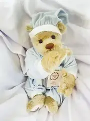 Lee Middleton Baby Bear Doll Honey Bear Baby Boy