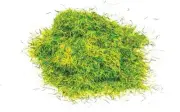 Hornby: Static Grass - Spring Meadow