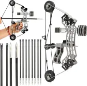 ZSHJGJR 10" Mini Compound Bow 12lbs, Mini Archery Bow and Arrow Set,Shooting ...