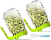 AXIM Sprouts Growing Kit,Wide Mouth Mason Jars with Upgrade Screen Sprout Lids,1000ml /32oz Sprouting Jar Kit,Seed Sprouter Set for Growing Broccoli, Alfalfa, Mung Bean (Green)