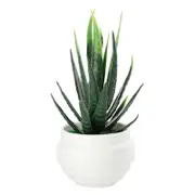 Realistic Faux Aloe Vera, Potted Bonsai for Home, Office & Party Decor