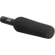 Audio-Technica AT875R Broadcast & Production Short Shotgun Microphone