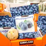 COSTCO 美國 KIRKLAND SIGNATURE 科克蘭 藍莓乾 567公克 藍莓 BLUEBERRIES 果乾
