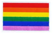 RAINBOW PEACE FLAG PATCHES COUNTRY PATCH BADGE IRON ON EMBROIDERED