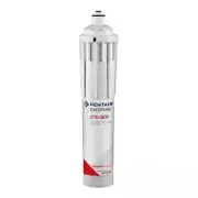 Everpure 300-05831 CTO-QCR Filter Cartridge – 1 Micron, 0.5 GPM, 6,000 Gallon Ca