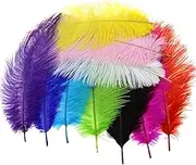 10pcs Fluffy Ostrich Artificial Feathers Arts Crafts Mixed Colors (10"-12" Length), DIY Decoration for Wedding Centerpieces, Festival Party