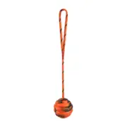 Pet Dogs Training Toy Natural Rubber Ball