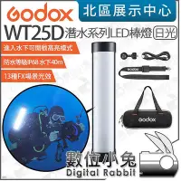 在飛比找Yahoo!奇摩拍賣優惠-數位小兔【 Godox 神牛 潛水系列 WT25D 日光 L