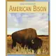 American Bison