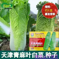 在飛比找蝦皮購物優惠-🌱🥬天津青麻葉白菜種子 農田菜園種中柱淺綠葉片柔嫩白菜籽蔬菜