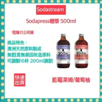 在飛比找樂天市場購物網優惠-【快速出貨 恆隆行公司貨】Sodastream 藍莓萊姆糖漿