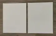Lot Of 2 Blick Art Material 8” X10” Canvas Panel Boards SEALED NEW