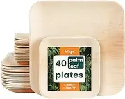 HAAGO 40 Palm Leaf Plates 10 Inch & 6 inch (Square) Disposable Wooden Bamboo Plates Tableware for Party, Picnic, Wedding, Biodegradable