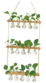 Wall Hanging Propagation Station with Wooden Stand 5 Bulb Vase 3 15 Bulb Vase