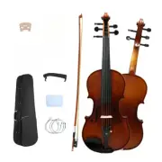 5 String Acoustic Violin 4/4 Maple Spruce Hand Made Ebony parts with Case Bow