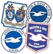 Desert Cactus Brighton & Hove Albion Sticker BHAFC Seagulls Football Club Decal Vinyl Laptop Water Bottle Car Scrapbook Official Fan Gear T2 (Type 2-2)