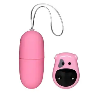 Wireless Remote Control Multi Speeds Vibrating Egg Sex Toy F