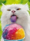 Funny Happy Belated Birthday Card - I Blame it on Brain Freeze - Cat