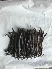 One Pound Madagascar Extract Grade Vanilla Beans [SKINNY/SPLIT/BRITTLE]