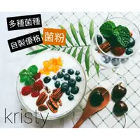 在飛比找蝦皮購物優惠-《Kristy》多種優格菌種粉 常溫永續優格菌  自製優格Y