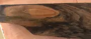 Turkish Walnut Gunstock Blank Shotgun matching pair Beretta Browning Miroku